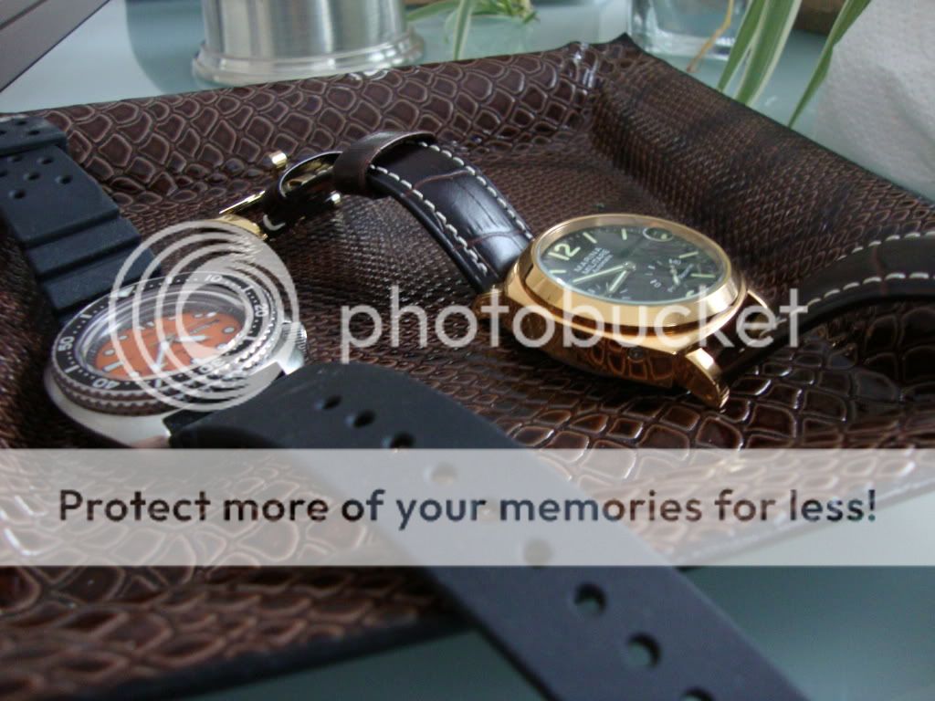 FS Seiko 63097040 (Vintage Cushion Case Diver) WatchUSeek Watch Forums